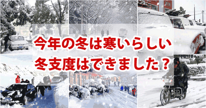 ジップアップスタンドカラーのファージャケット